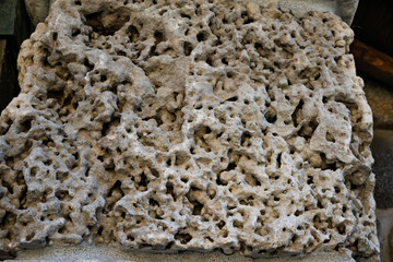 Texture of a stone from the sea of calcareous origin