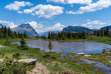 View from Logan Pass in Glacier National Park, Montana on a sunny summer day, with glacial valley,...