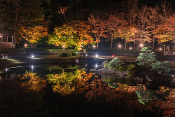 秋の夜にライトアップされた日本庭園の風景