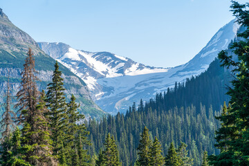 View from Jackson Glacier Overlook on the Going to the Sun Road in Glacier National Park in Montana on a sunny summer day, with mountains, forest, and snow
