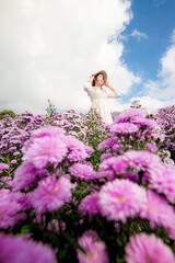 Margaret flower field and woman,Portrait of teenage girl in a garden of flowers, Young happy asian girl in Margaret Aster flowers field in garden at Chiang Mai 