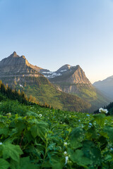 View of Mount Oberlin and Clements Mountain in Glacier National Park as viewed from hiking by...