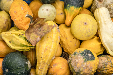 heap of varied ornamental gourds on sale at street market, Stuttgart