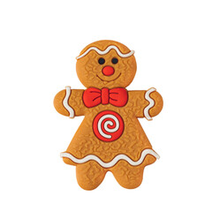 Isolate of a cookie man on a white background.