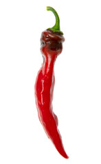 One red chili pepper isolated on a white background.