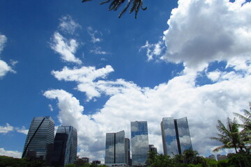 São Paulo, Brazil. Modern Buildings. View from Parque do Povo.