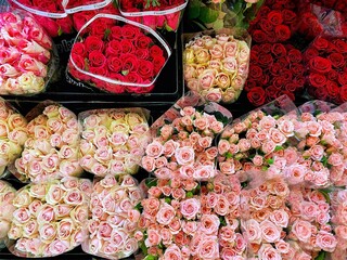 Yellow, white,red and pink rose bouquets in the flower shop.