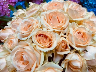 Vanilla color rose. Peach color rose bouquet.