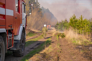 Firefighter and fire engine fire truck extinguishing forest fire