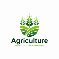 Agriculture wheat / Grain logo design template.