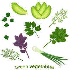 Green vegetables. Fresh basil, green onion, fresh dill, lettuce leaf, green parsley. Vector illustration of leaf vegetables. - 472058560