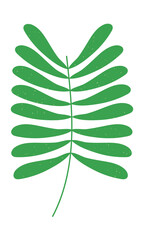 Fototapeta na wymiar tropical branch icon
