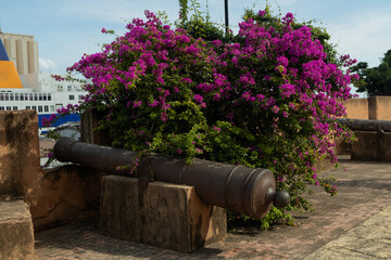 cannon in the fortress
 zona colonial