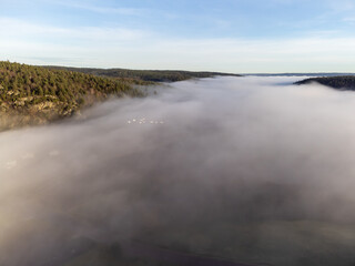 Aerial view of misty morning in November. Nature photography of forest and fog taken with a drone from above in Sweden. Blue sky background with copy space.