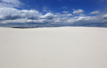 white sandy field