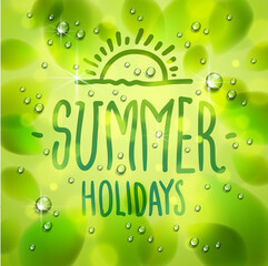 Obraz premium Summer type composition drawn on a window, fresh green leaves and water rain drops or condensate macro, vector 3d realistic transparent illustration, summertime nature beautiful art.