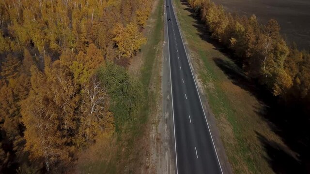 Autumn highway in the central part of Russia.  Top view of 4k video. Yellow birch crowns and gray ribbon of the road