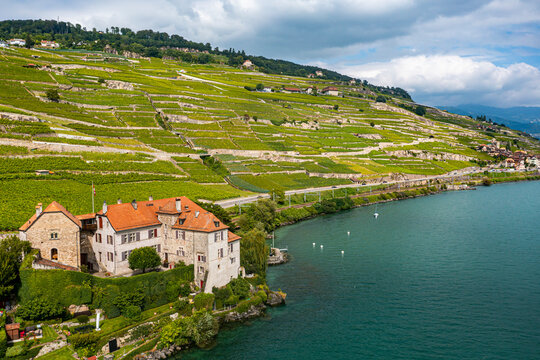 Switzerland, Canton of Vaud, Aerial view of terraced vineyards of Lavaux in summer