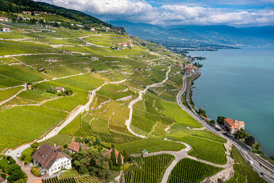 Switzerland, Canton of Vaud, Aerial view of terraced vineyards of Lavaux in summer