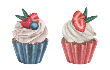 Cute watercolor hand drawn cupcakes. 