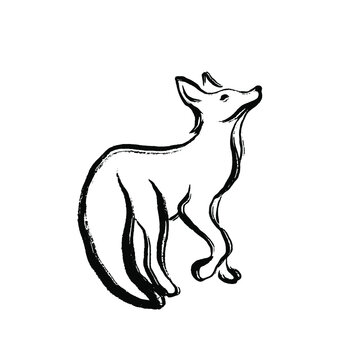 Minimalistic fox drawing in the technique of one ink stroke. Brush and paint texture. Vector illustration
