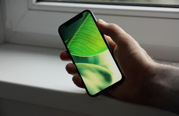 Hand holding a phone screen with green tropical leaf wallpaper