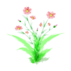 Fototapeta premium Watercolor pink flowers on a background of green grass.
