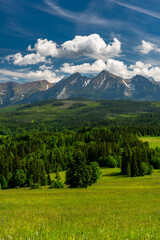 Fototapeta premium Scenic High Tatras Mountains and Green Pasture in Lapszanka Valley at Summer. Polish Podhale Landscape.