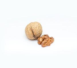 walnut on a white background
