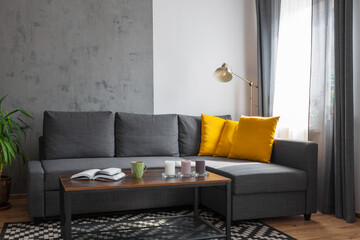 Gray sofa with yellow pillows in the living room.Green plant. Geometrical carpet. Book on the wooden table. Daylight. Empty gray concrete wal.