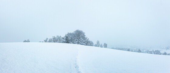 Naklejka premium Wunderschöne Winterliche Märchenlandschaft mit verschneitem Tannenwald
