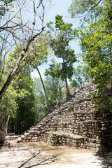 Calakmul Archeological Site 