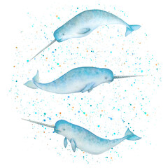 Set of watercolor narwhals isolated on white background - obrazy, fototapety, plakaty