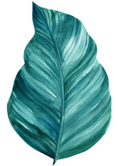 Topical blue leaf watercolor illustration on isolated white background