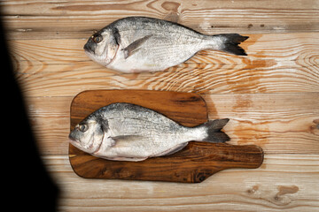 Orata Fish Isolated, Fresh Dorado, Seabream