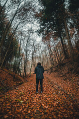 Image of young man in dark and misty forest  in autumn time. Wide angle photo of tourist in sport clothes - photo from back.