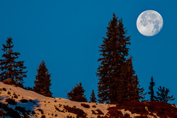 beautiful fullmoon at a autumn morning on the mountains in the sunrise