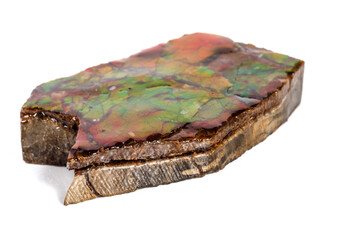 Macro stone Ammolite mineral on white background