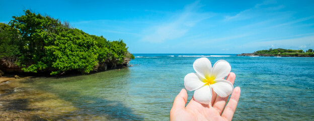 Frangipani flowers in woman hand over sea background. Summer vacation and spa concept