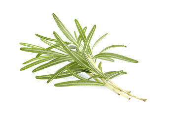 Fototapeta premium Rosemary fresh isolated on white background. Spice closeup.