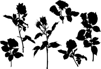 six black silhouettes of rose flowers on white