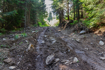 off-road dirt wet road with stones in the forest in the mountains