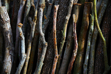 Full frame of dry wood, ready to burn, vertically, illuminated by a pale sun