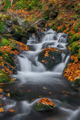 Fototapeta na wymiar Sumny creek in autumn morning in Jeseniky mountains