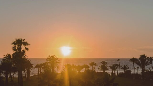 Timelapse. Silhouette of palm trees of sea beach against the backdrop of a huge setting sun on cloudy sky. Top view