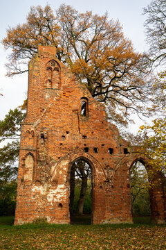 Klosterruine Eldena