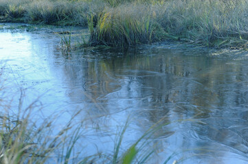 Nature between autumn and winter