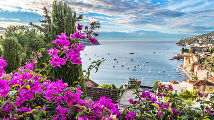 Fleurs et cyprès en bordure de la mer dans la baie de Villefranche sur Mer sur la Côte d'Azur