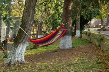 Obraz na płótnie Canvas hammock in the garden