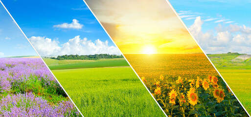 green field and blue sky with light clouds. Collage.Wide photo.